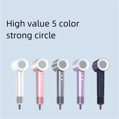 This Year's New Smart Anion Hair Dryer